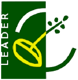 LEADER logo