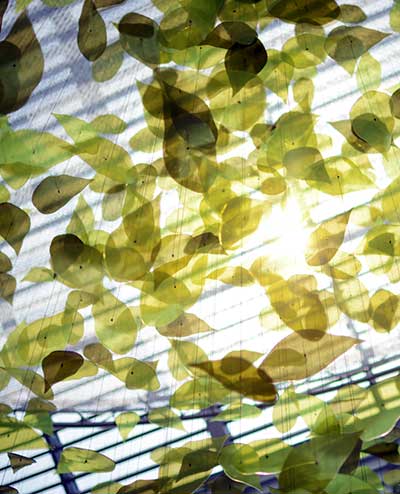 Sunlight filtering through the leaves of the tree canopy sculpture