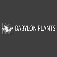 Babylon Plants logo