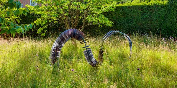 Modern garden style with Coluna in wild grass