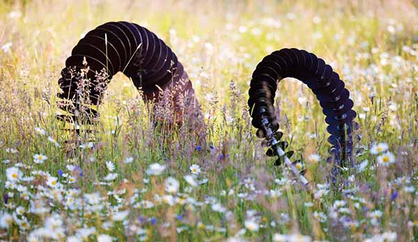 Coluna sculpture in wildflower meadow
