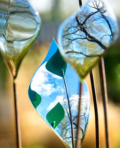 Land and sky reflected in Quiver